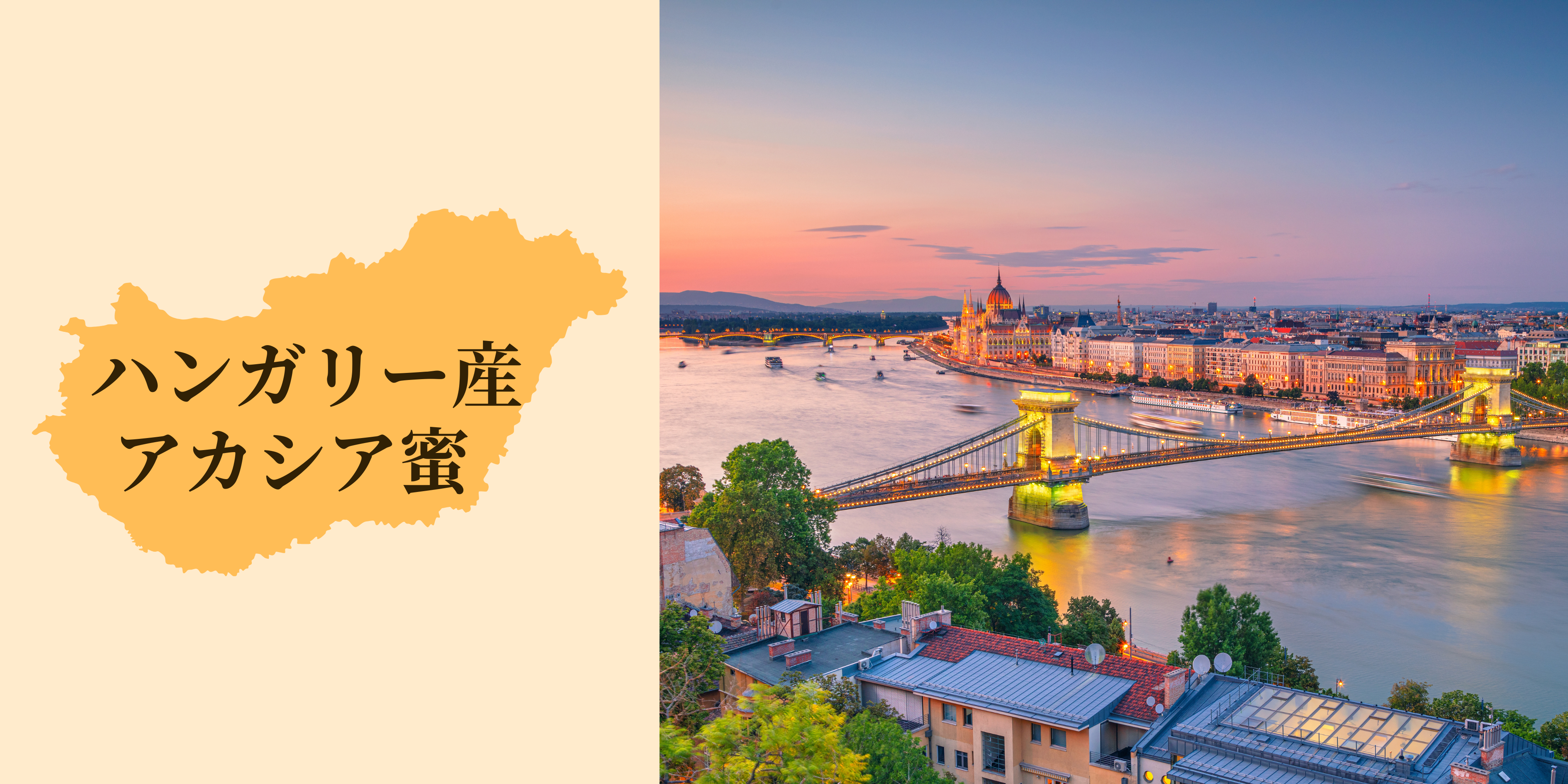 ハンガリー ブダペストの風景